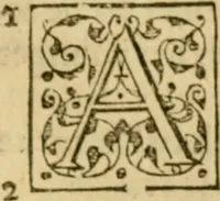 An illustration from A Commentarie of John Calvine upon the first booke of Moses called Genesis (1578)
