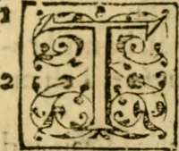 Picture 32 of 46 from A Commentarie of John Calvine upon the first booke of Moses called Genesis (1578), leaf 610
