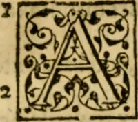 Picture 33 of 46 from A Commentarie of John Calvine upon the first booke of Moses called Genesis (1578), leaf 622