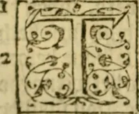 An illustration from A Commentarie of John Calvine upon the first booke of Moses called Genesis (1578)