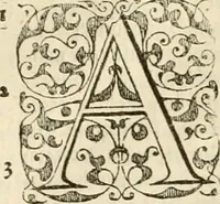 Picture 25 of 48 from Commentarii in Isaiam prophetam (1570), leaf 303