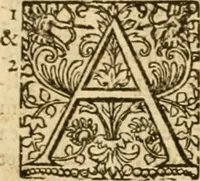 An illustration from Commentarii in Isaiam prophetam (1570)