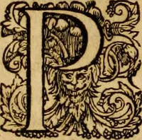 Picture 5 of 18 from ... Commentarii omnes Pauli Apostoli Epistolas, atque etiam in Epistolam ad Hebraeos : adiunximus eiusdem authoris commentarios in omnes Epistolas canonicas (1600), leaf 135