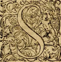 Picture 6 of 18 from ... Commentarii omnes Pauli Apostoli Epistolas, atque etiam in Epistolam ad Hebraeos : adiunximus eiusdem authoris commentarios in omnes Epistolas canonicas (1600), leaf 249