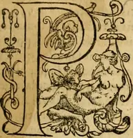 Picture 13 of 18 from ... Commentarii omnes Pauli Apostoli Epistolas, atque etiam in Epistolam ad Hebraeos : adiunximus eiusdem authoris commentarios in omnes Epistolas canonicas (1600), leaf 486