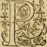 Picture 15 of 18 from ... Commentarii omnes Pauli Apostoli Epistolas, atque etiam in Epistolam ad Hebraeos : adiunximus eiusdem authoris commentarios in omnes Epistolas canonicas (1600), leaf 547