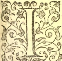An illustration from The retvrning backslider; or, A commentarie upon the whole XIIII. chapter of the prophecy of the Prophet Hosea (1641)