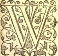 An illustration from The retvrning backslider; or, A commentarie upon the whole XIIII. chapter of the prophecy of the Prophet Hosea (1641)