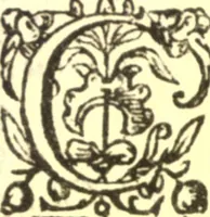 Picture 31 of 33 from The retvrning backslider; or, A commentarie upon the whole XIIII. chapter of the prophecy of the Prophet Hosea (1641), leaf 478