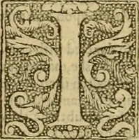 Picture 40 of 59 from A commentary upon the prophecie of Isaiah : whereunto are added foure tables ... (1609), leaf 459