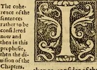 Picture 43 of 59 from A commentary upon the prophecie of Isaiah : whereunto are added foure tables ... (1609), leaf 517
