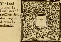 Picture 46 of 59 from A commentary upon the prophecie of Isaiah : whereunto are added foure tables ... (1609), leaf 555