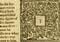 Picture 51 of 59 from A commentary upon the prophecie of Isaiah : whereunto are added foure tables ... (1609), leaf 602