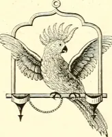 An illustration from Commercial and architectural St. Louis ; illustrated (1891)