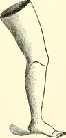 Picture 71 of 136 from Commercial and architectural St. Louis ; illustrated (1891), leaf 162