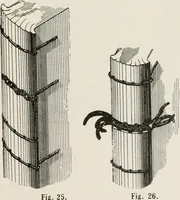 An illustration from Commercial bookbinding; a description of the processes and the various machines used (1910)