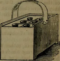 An illustration from Common objects of the microscope (1861)