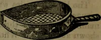 An illustration from Common objects of the microscope (1861)