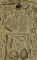 An illustration from Common objects of the microscope (1861)