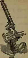An illustration from Common objects of the microscope (1861)