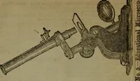 An illustration from Common objects of the microscope (1861)