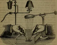 An illustration from Common objects of the microscope (1861)