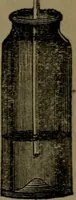 An illustration from Common objects of the microscope (1861)