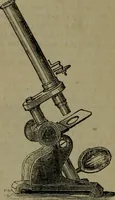 An illustration from Common objects of the microscope (1861)