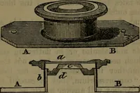 An illustration from Common objects of the microscope (1861)