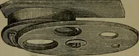An illustration from Common objects of the microscope (1861)