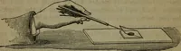 An illustration from Common objects of the microscope (1861)