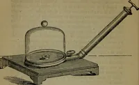 An illustration from Common objects of the microscope (1861)