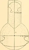 An illustration from Common-sense stair building and handrailing (1903)