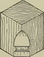 An illustration from Common-sense stair building and handrailing .. (1913)