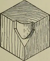 An illustration from Common-sense stair building and handrailing .. (1913)