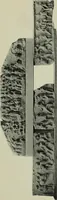 An illustration from Companion to Roman history (1912)