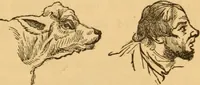Picture 102 of 303 from Comparative physiognomy; or, Resemblances between men and animals (1852), leaf 114