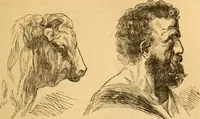 Picture 106 of 303 from Comparative physiognomy; or, Resemblances between men and animals (1852), leaf 118