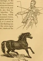 Picture 117 of 303 from Comparative physiognomy; or, Resemblances between men and animals (1852), leaf 126
