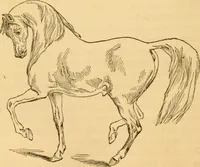 Picture 136 of 303 from Comparative physiognomy; or, Resemblances between men and animals (1852), leaf 141