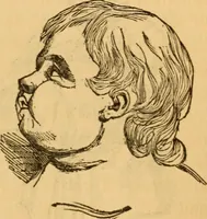 Picture 163 of 303 from Comparative physiognomy; or, Resemblances between men and animals (1852), leaf 182