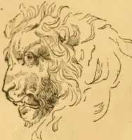 Picture 20 of 303 from Comparative physiognomy; or, Resemblances between men and animals (1852), leaf 25