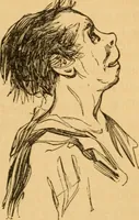 Picture 225 of 303 from Comparative physiognomy; or, Resemblances between men and animals (1852), leaf 256