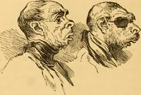 Picture 226 of 303 from Comparative physiognomy; or, Resemblances between men and animals (1852), leaf 259