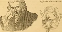 Picture 234 of 303 from Comparative physiognomy; or, Resemblances between men and animals (1852), leaf 265