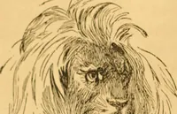 Picture 24 of 303 from Comparative physiognomy; or, Resemblances between men and animals (1852), leaf 27