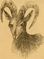 Picture 280 of 303 from Comparative physiognomy; or, Resemblances between men and animals (1852), leaf 310