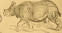 Picture 49 of 303 from Comparative physiognomy; or, Resemblances between men and animals (1852), leaf 51