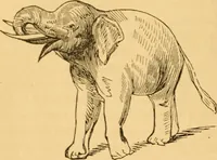 Picture 52 of 303 from Comparative physiognomy; or, Resemblances between men and animals (1852), leaf 53