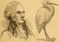 Picture 63 of 303 from Comparative physiognomy; or, Resemblances between men and animals (1852), leaf 64